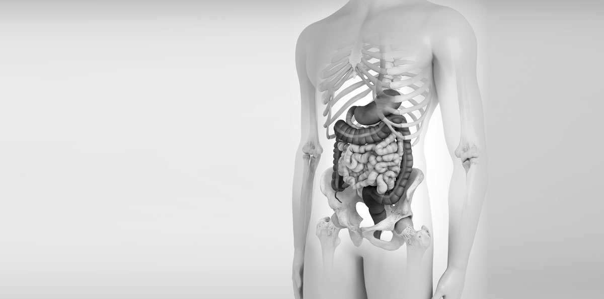 Gastroenterology